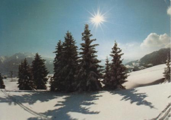 Flims - CH 1993 95 002 ●